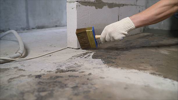 Top rated local Basement Waterproofing specialists in Mooreville, MS
